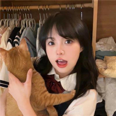 侵入者